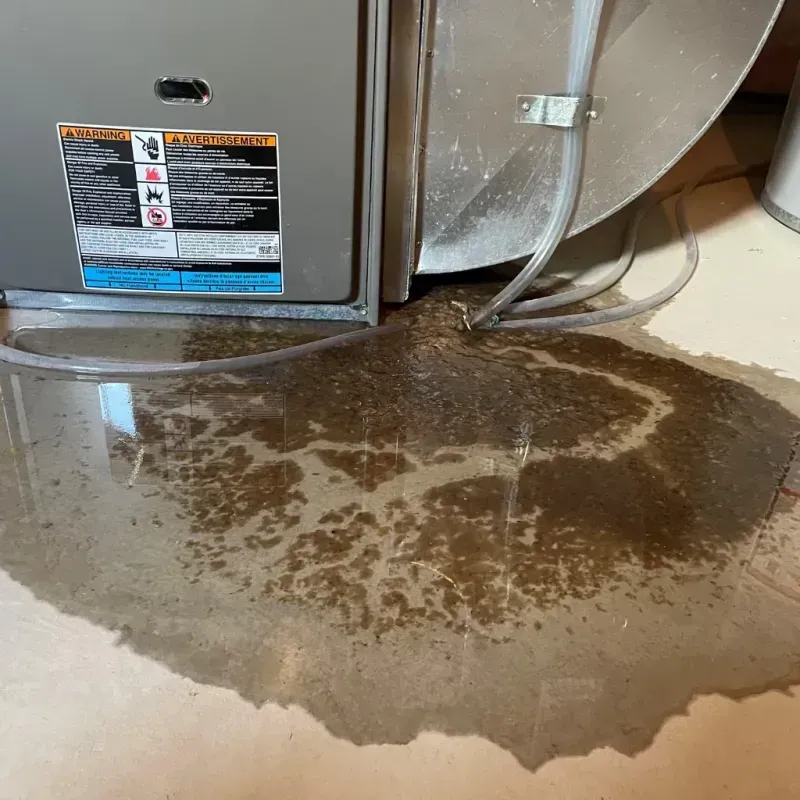 Appliance Leak Cleanup in Irvington, KY